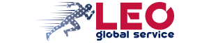 LEO global service
