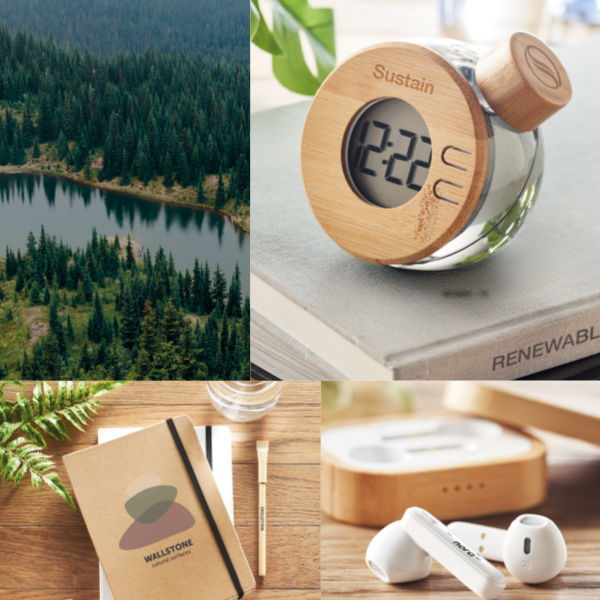 Eco-Friendly Products